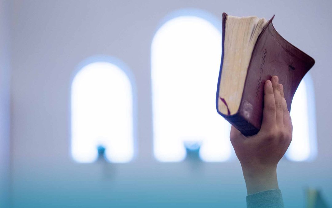 AMPLIA PROVISIÓN EN CRISTO