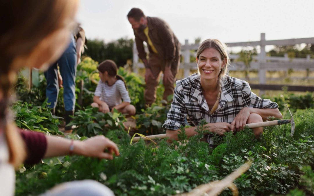 RELACIONES SOCIALES SANAS