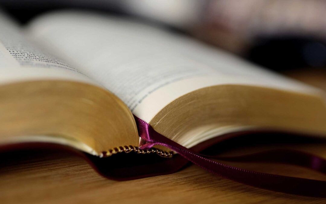 ¿FUE PEDRO UN TROPIEZO?