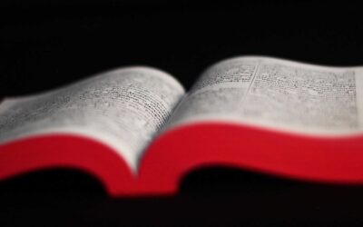 JESÚS ¿FUE ENGENDRADO? (2)
